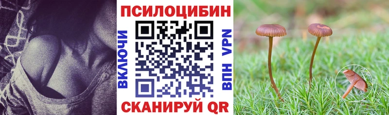 цена наркотик  Чегем  kraken ТОР  Псилоцибиновые грибы GOLDEN TEACHER 